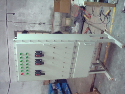 【恒安專業(yè)銷售防爆不銹鋼接線箱、配電箱、配電柜、電氣控制柜】價格,廠家,圖片,配電柜,瑞安市恒安電氣-